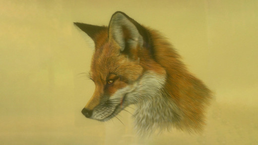 1753426 (a): :2133x1200